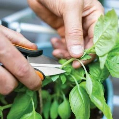 FISKARS® Solid™ Kräuterschere SP220 4 FISKARS® Solid™ Kräuterschere SP220 -FISKARS Shop 58817505 3